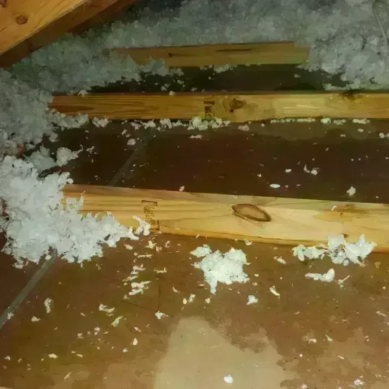 Attic Water Damage in Cool, CA