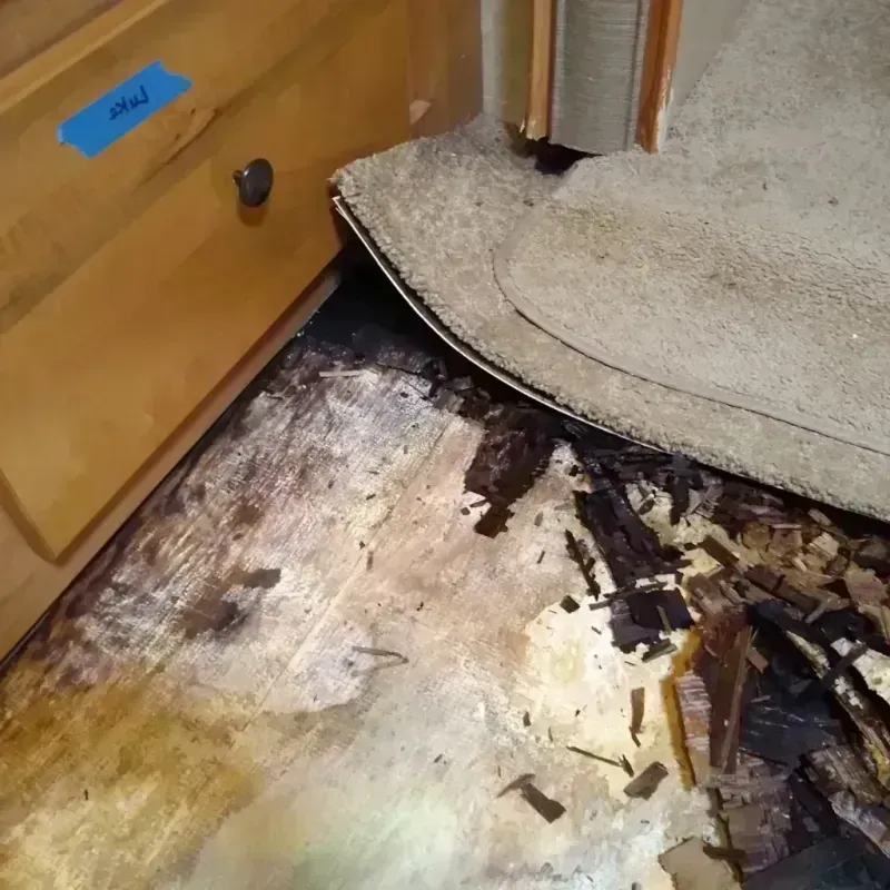 Wood Floor Water Damage in Cool, CA